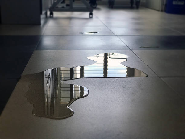 Best Water damage contractors near me  in Oceanside, CA