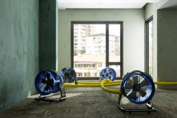 Best Commercial water damage restoration  in Oceanside, CA